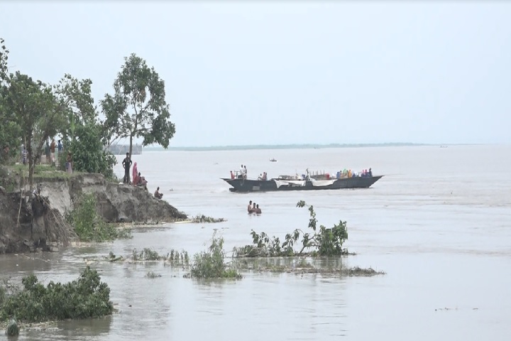 বাড়ছে যমুনার পানি, ভাঙছে তীর