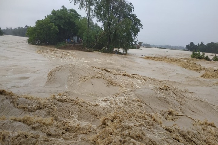 বন্যায় নিখোঁজ দুজনের মরদেহ উদ্ধার