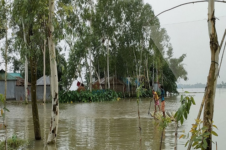 বিপৎসীমার ওপরে প্রবাহিত তিস্তা-ধরলা নদীর পানি