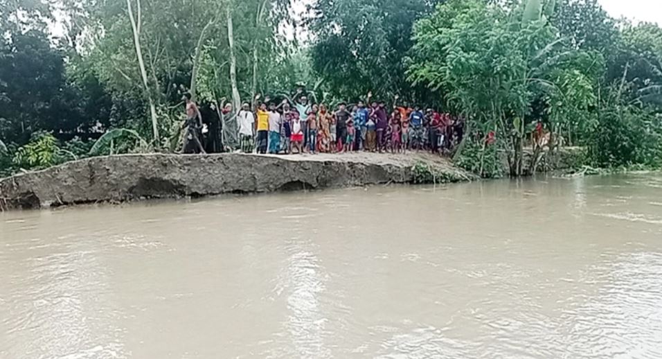 গাইবান্ধায় পানিবন্দি ৫৭ হাজার মানুষ, নদীতে শতাধিক ঘরবাড়ি বিলীন