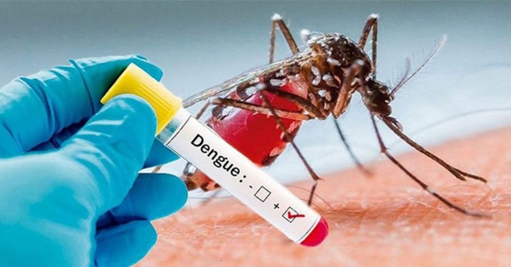 ডেঙ্গুতে ১৮ মৃত্যু, হাসপাতালে ভর্তি ৩১২২
