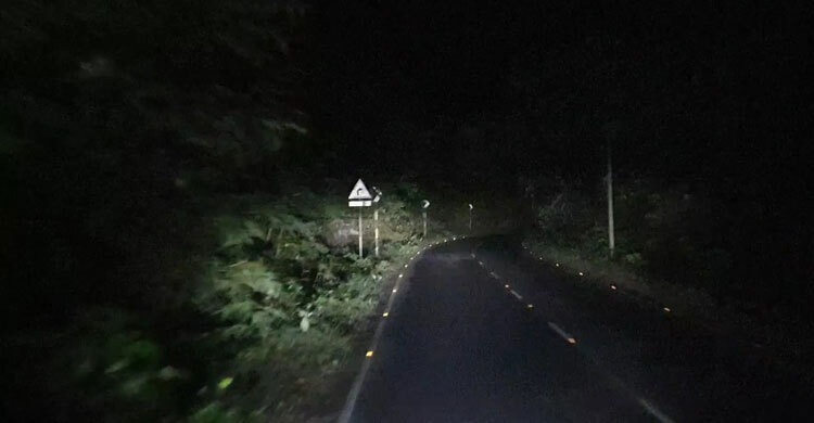 সড়কে গাছ ফেলে যানবাহনে ঘণ্টাব্যাপী ডাকাতি