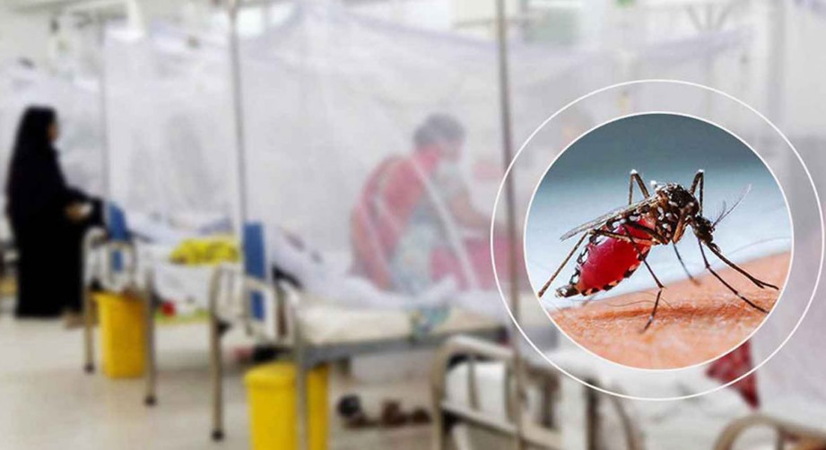 ২৪ ঘণ্টায় ডেঙ্গুতে ২ মৃত্যু, হাসপাতালে ৩৬৪