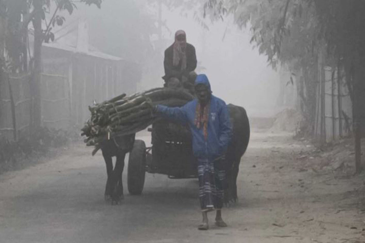 ৬ জানুয়ারি থেকে তীব্র শৈত্যপ্রবাহের শঙ্কা, তাপমাত্রা নামতে পারে ৪ ডিগ্রিতে
