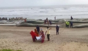ট্রলার ডুবি : মেঘনায় ভেসে এলো রোহিঙ্গা নারীর মরদেহ