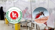 একদিনে ২৯৪ জনের ডেঙ্গু শনাক্ত, অর্ধেকই বরিশাল-চট্টগ্রামে
