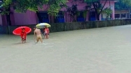 টানা বর্ষণে টেকনাফের অর্ধশত গ্রাম প্লাবিত