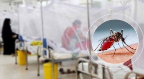 ডেঙ্গুতে ৫ জনের মৃত্যু, হাসপাতালে ভর্তি ৯৫৩