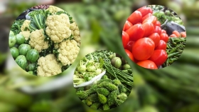 বৃষ্টির প্রভাব কাটিয়ে সবজির বাজারে কিছুটা স্বস্তি