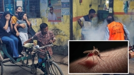 ডেঙ্গুতে একদিনে ২ মৃত্যু, হাসপাতালে ৭০৫