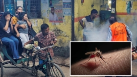 ডেঙ্গুতে একদিনে ২ মৃত্যু, হাসপাতালে ৭০৫
