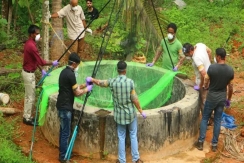 পশ্চিমবঙ্গে নিপাহ্ ভাইরাস: সংক্রমণ কি আদৌ ছড়িয়েছে?