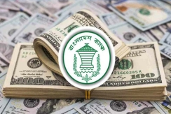 বছরের শুরুতেই প্রবাসী আয় ছাড়াল ২৯৪ কোটি ডলার