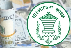 রিজার্ভ আরও বেড়ে কত বিলিয়ন ডলার, জানালো কেন্দ্রীয় ব্যাংক