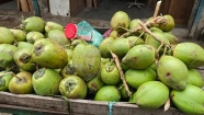 ডাবসহ সব ফলের দাম চড়া, চাপে ক্রেতা