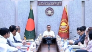 ডেঙ্গু প্রতিরোধে ৩ মাসের বিশেষ অভিযান চালাবে সরকার