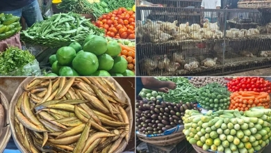 শিম ২০০, ব্রয়লার ১৮০ টাকা কেজি